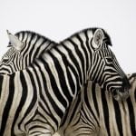 Best christian motherʼs day poems