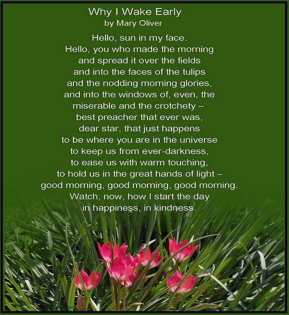 best nature poems mary oliver