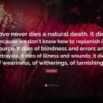 Best anais nin quotes love never dies best anais nin quotes love never dies