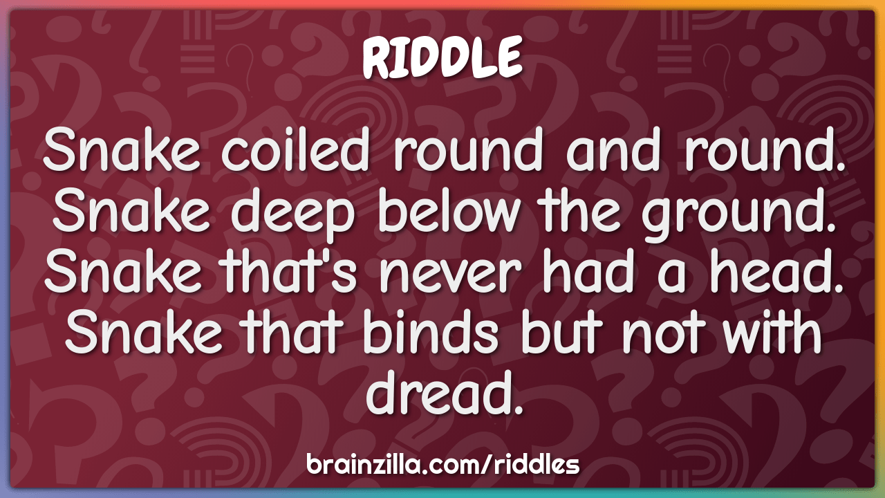 Best snake riddles