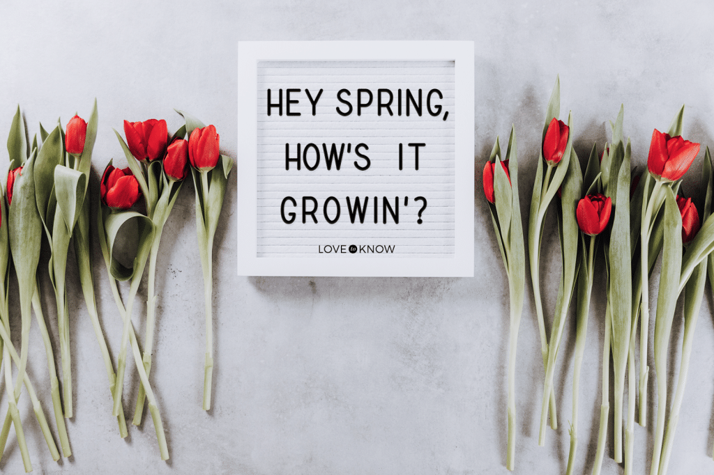 Best spring message board quotes